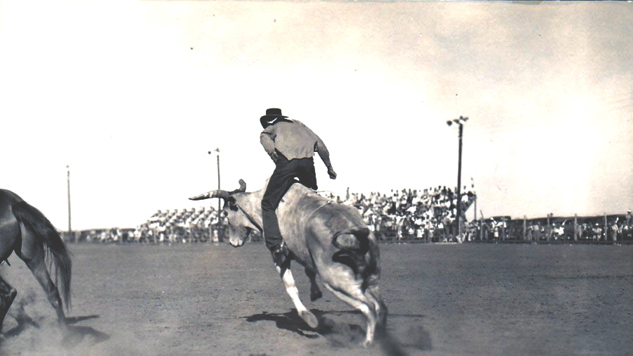 Cowboy Rides a Young Bull in Sweetwater Texas
